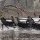 (Photo: HBO, Macall B. Polay)